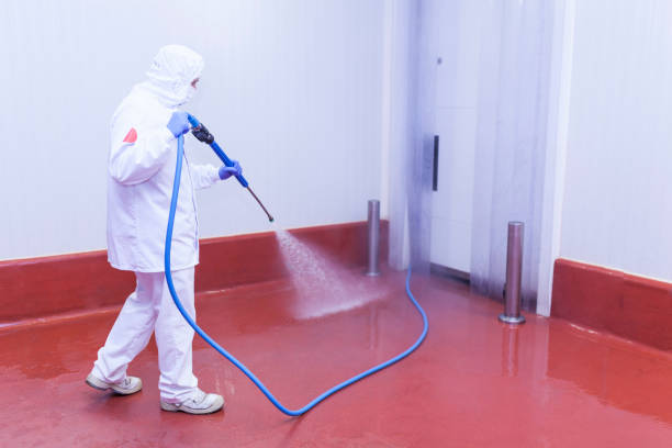 Spring Cleaning in Solon, OH